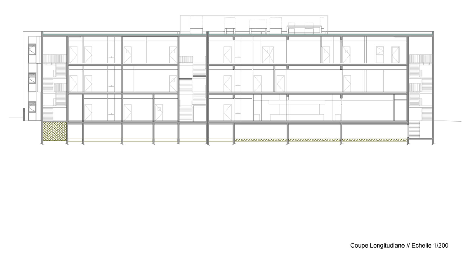 Sección longitudinal. Nuevo edificio en el instituto Albert Einstein, por NBJ Architectes. 