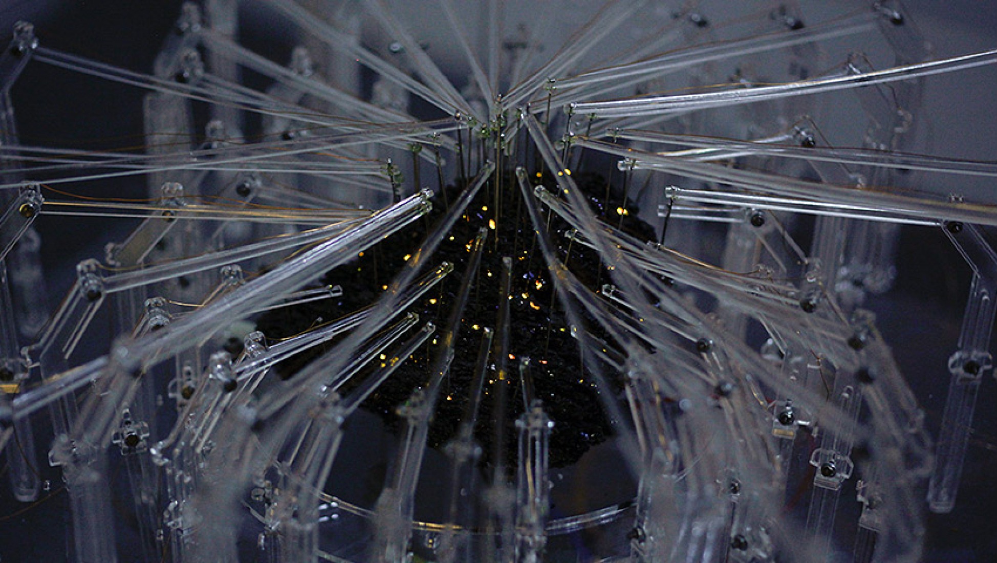 Segundo Premio - Irrational computing. Ralf Baecker (Alemania) VIDA 14. 