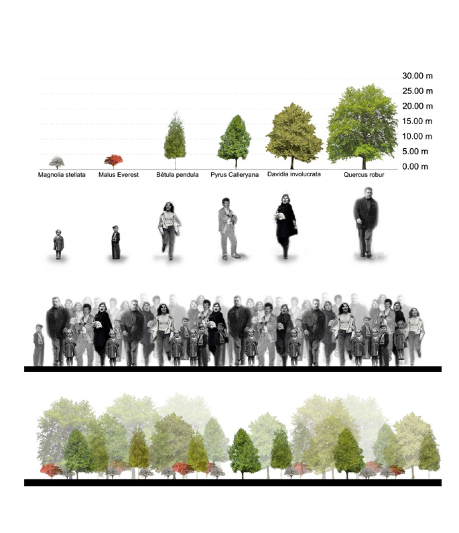 Esquema programático. Imagen cortesía de Mateo Arquitectura.