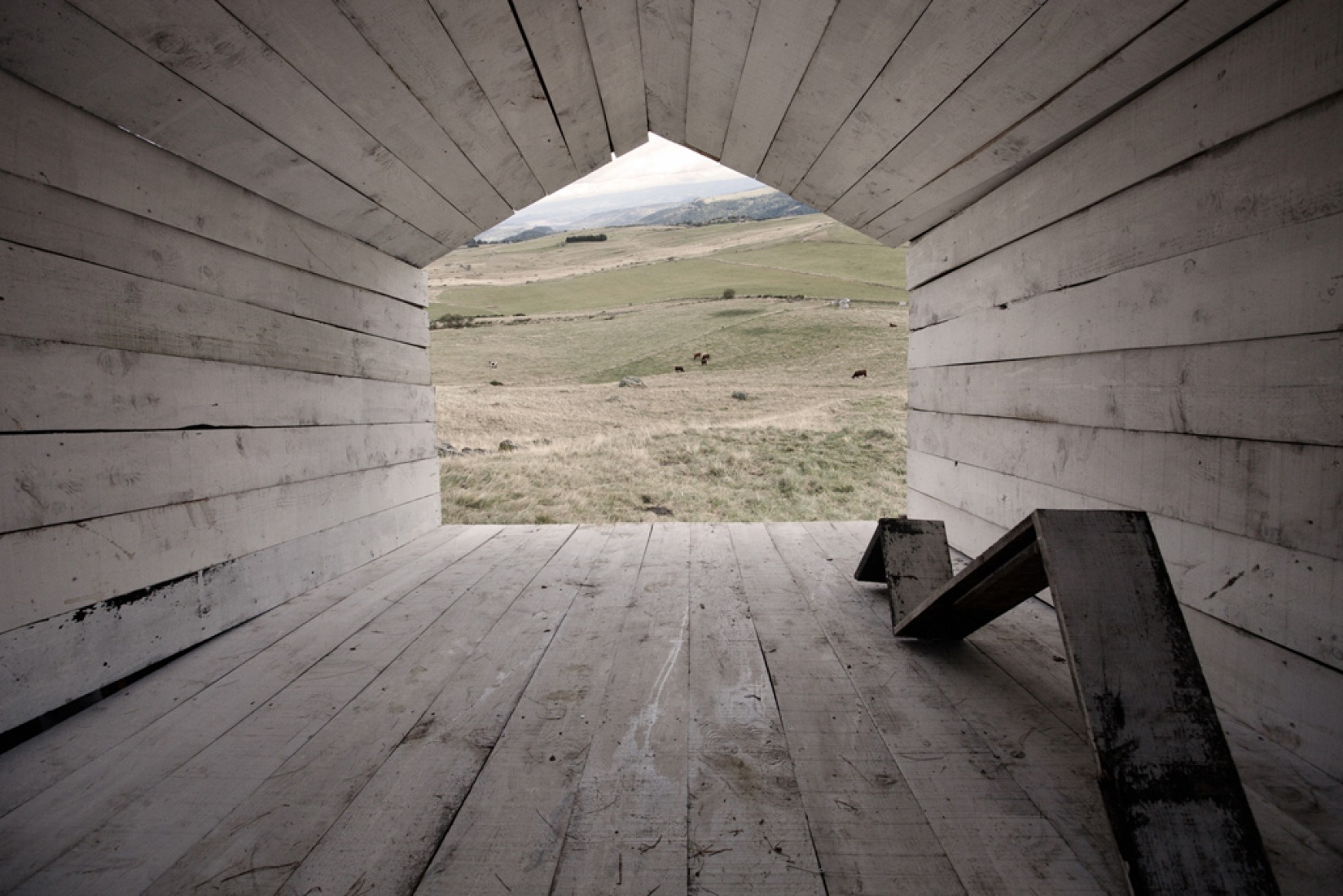 Sloping house por atelier 37.2 architecture. Imagen cortesía de atelier 37.2 architecture.