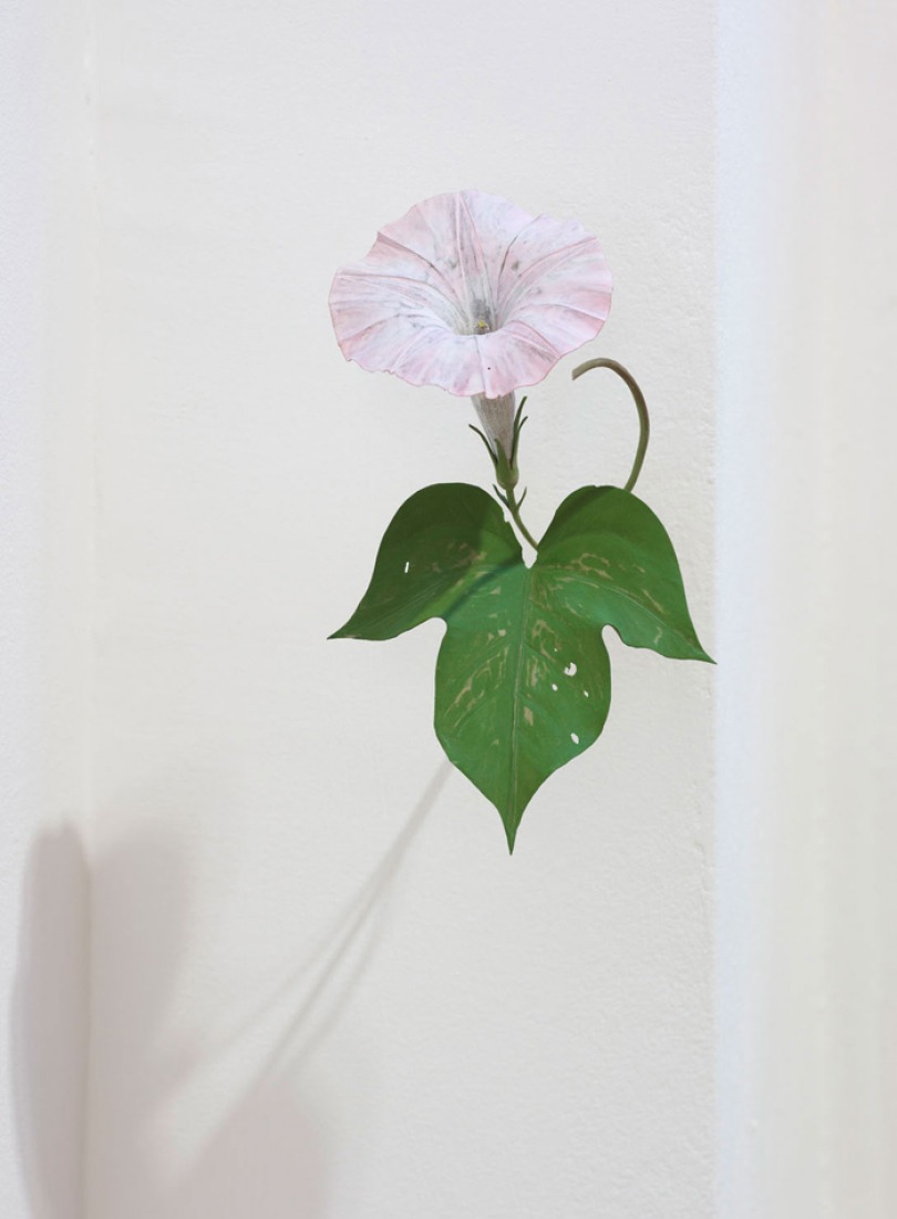 Morning Glory, 2011. Painted on wood. Photography © Suda Yoshihiro.