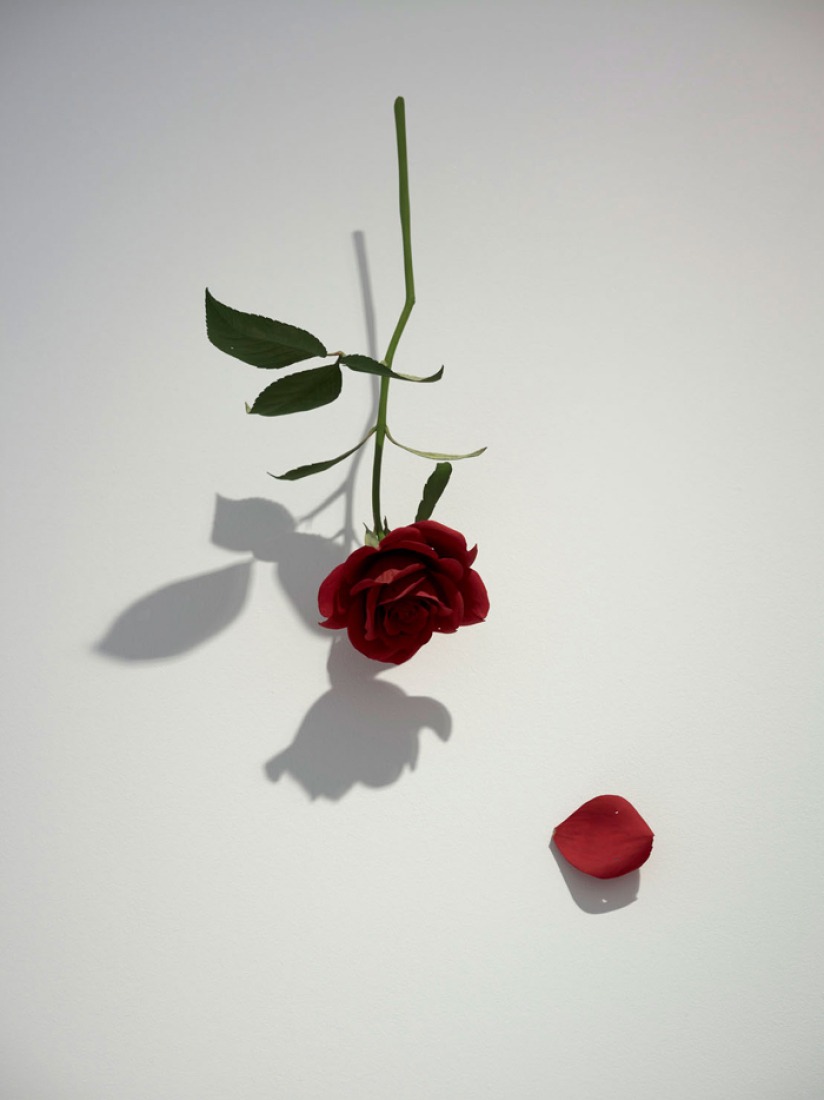 Rose, 2012. Painted on wood. Photography © Suda Yoshihiro.