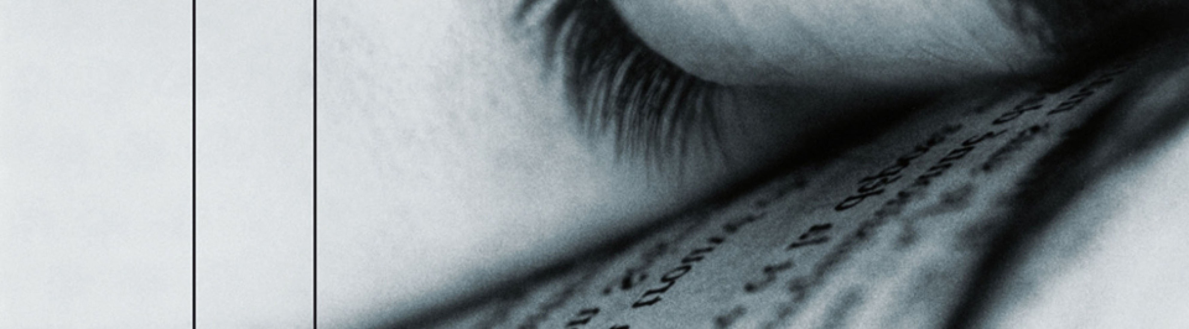 "Pura alegría" por Antonio Muñoz Molina (detalle de la cubierta del libro)