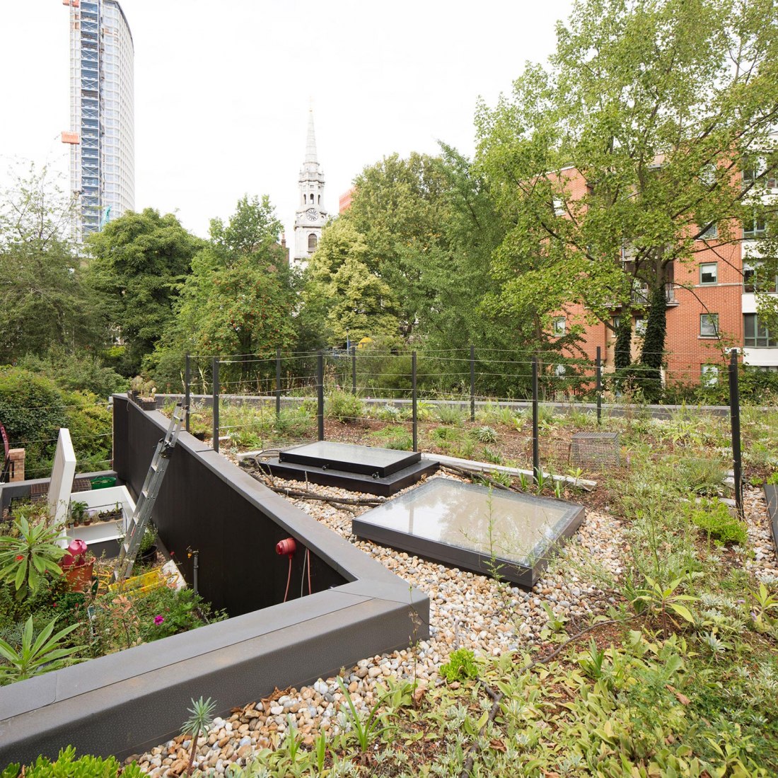 Edificio Comunitario de Phoenix Garden por Office Sian Architecture + Design. Fotografía © Richard Chivers