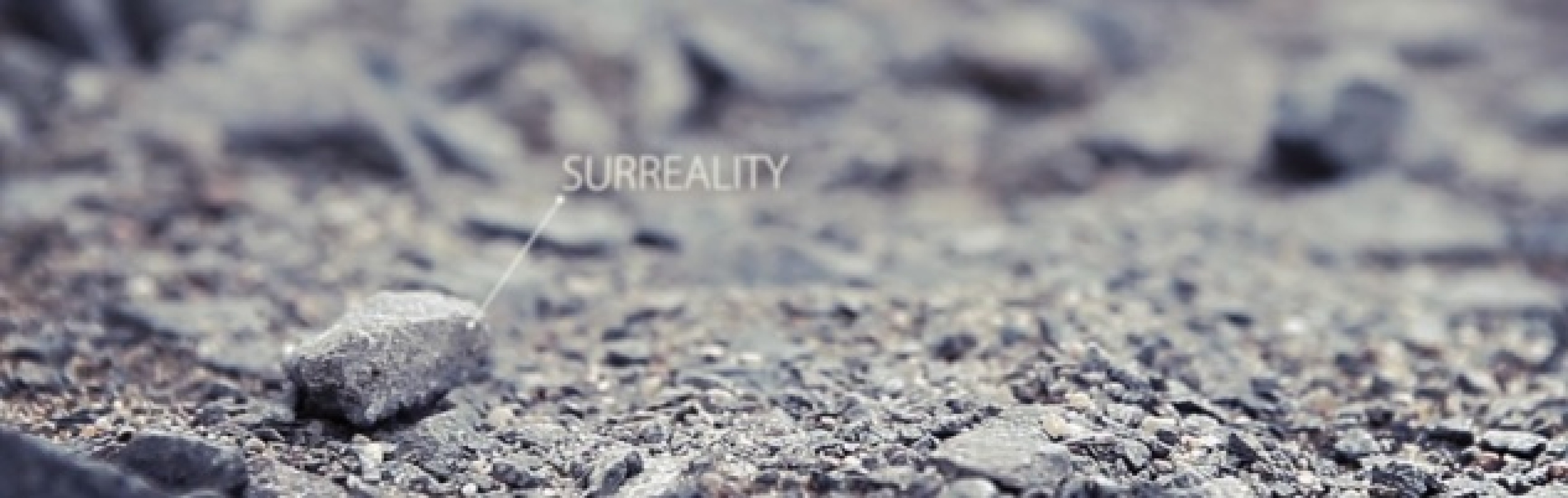 SURREALITY