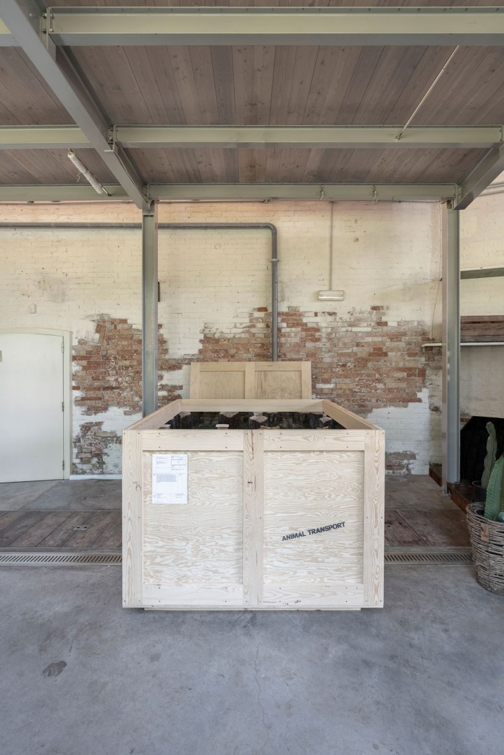 'The Naturalis Brutalis' by Krupinski/Krupinska at the Biennale Architettura di Venezia 2018. Photograph by David Valldeby