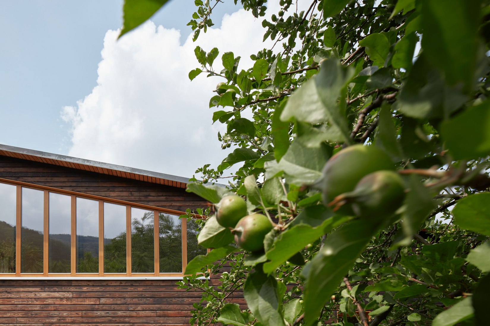 La casa del castaño por Valarch ateliér. Fotografía por Jakub Skokan y Martin Tůma / BoysPlayNice