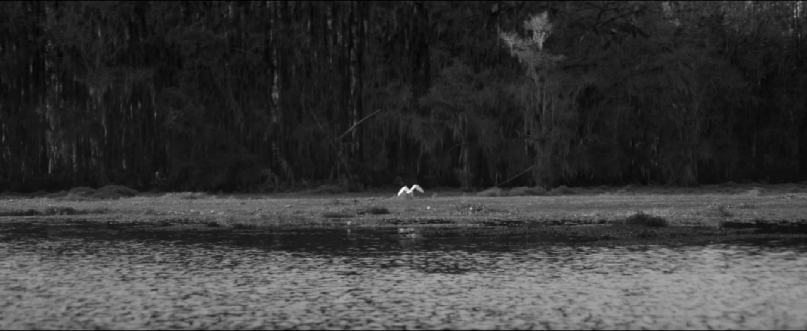 'THE GOLDEN AGE' feat. Max Richter 'EMBERS' por Woodkid
