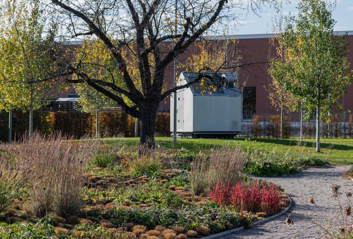 Blooming Campus at the Vitra. Oudolf Garten by Piet Oudolf The