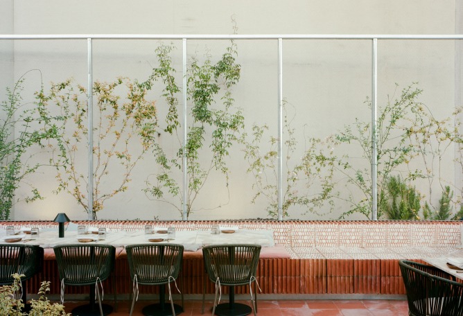 Norma por Hugo Santoalha. Fotografía por Francisco Ascensão.