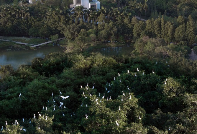 Museo del Humedal de Yunlu en Shunde por Studio Link-Arc. Fotografía por Arch-Exist. 