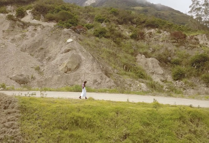 Capulí por Luz Pinos.