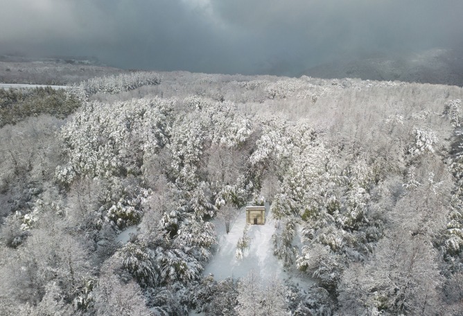 MIEL Pavilion by Pezo von Ellrichshausen. Photograph by Pezo von Ellrichshausen.