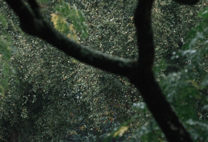 Rotation pavilion by ATA Atelier. Photograph by José Campos.