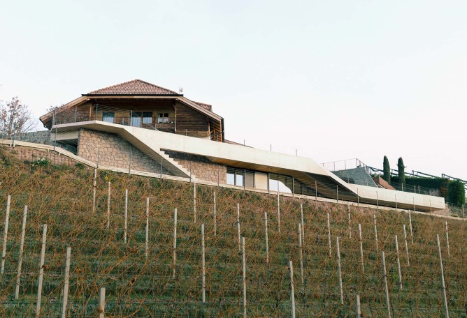 Casa Conte por Messner Architects. Fotografía por Karina Castro.