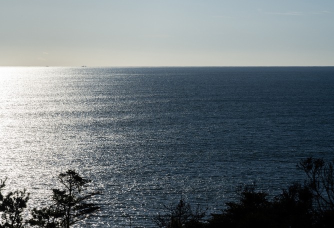 "Sea of Time – TOHOKU" by ATTA + Tatsuo Miyajima. Photograph by Yuki Iwanami.