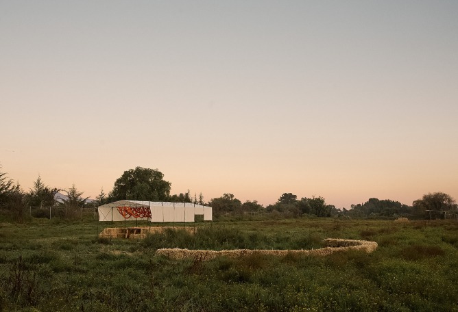 Cempasúchil Pavilion by COLAR Colectivo de Arquitectura. Photograph by Edgar García. 