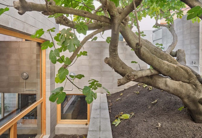 Casa de la Higuera por Comas-Pont arquitectes. Fotografía por Adrià Goula.