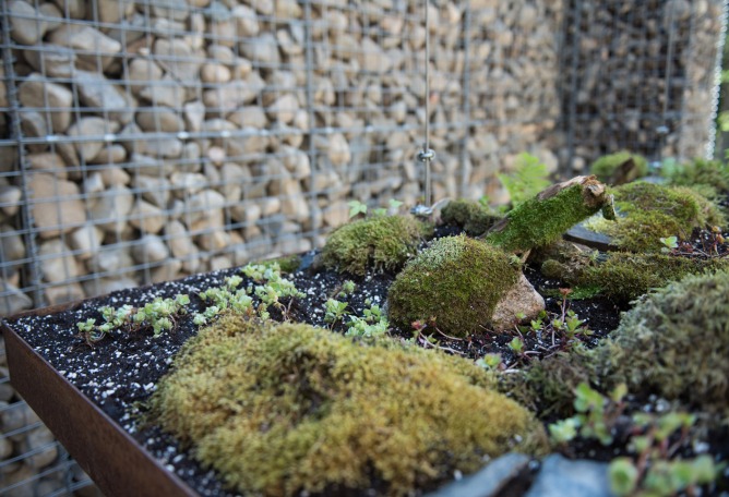 17th International Garden Festival. LE CAVEAU by Christian Poules from Basel, Switzerland. Photograph © Martin Bond. Image courtesy of v2com