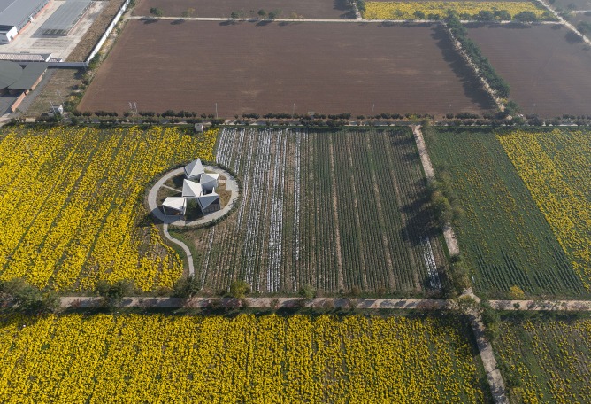 The Library in Ice-Chrysanthemum Field. Photograph by Zhang Chao.