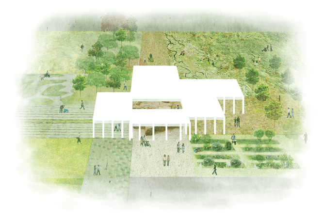 Sayes Court Garden por David Kohn arquitecto. 