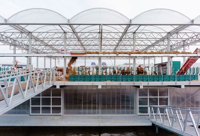 Floating Farm Dairy por Goldsmith Company. Fotografía por Rubén Dario Kleimeer.