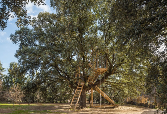 Tree house in an oak by Ignacio Borrego. Photograph by Imagen Subliminal.