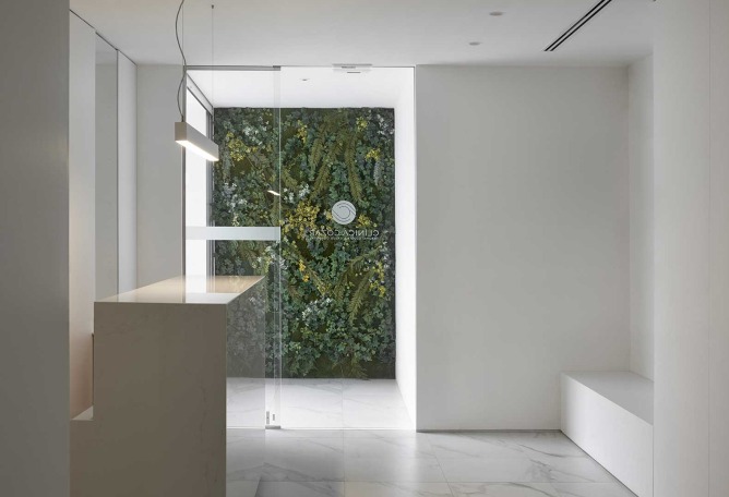Cózar clinic by Lecoc Arquitectura and Andrés J. Cózar Lizandra. Photograph by Mariela Apollonio
