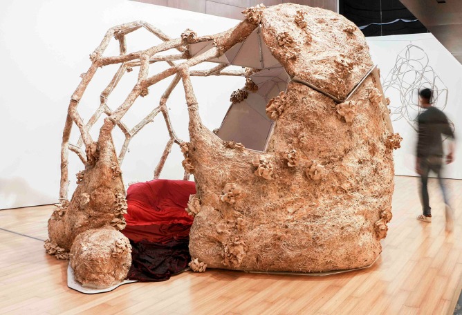 Breeding Space by María Mallo. Photograph by Wladimir Pulpa