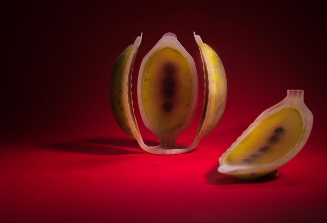 Neo Fruit by Meydan Levy. Photograph by Bogdan Sokol & Shay Maman