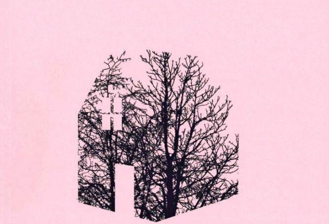 Portada. Un árbol en la casa por Óscar Blasco Lázaro.