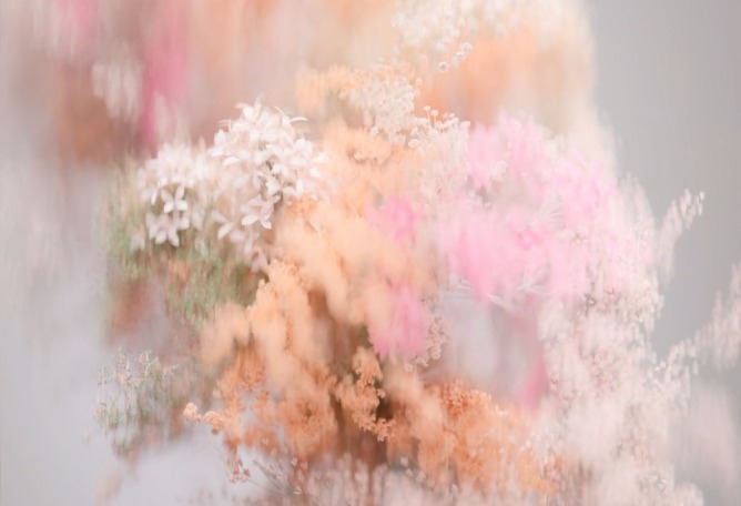 Pollen por Reisinger Studio