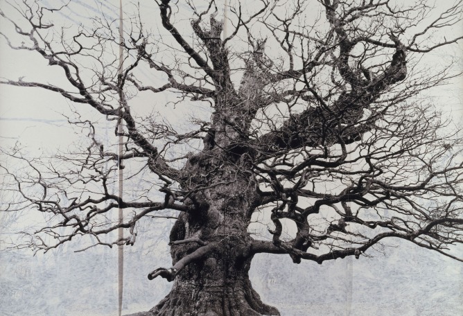  Tacita Dean, Majesty, 2006.  Gouache en fotografía montada en papel. 300 x 420 cm. Tate: Presentado por Tate Members 2008. Fotografía: © Tate, Londres, 2018. © Cortesía del artista; Frith Street Gallery, Londres y Marian Goodman Gallery, Nueva York / París, a través de Royal Academy