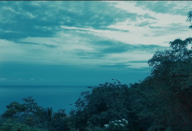 The beauty of the Southeast Asian jungle. Ylang Ylang by FKJ | The ...