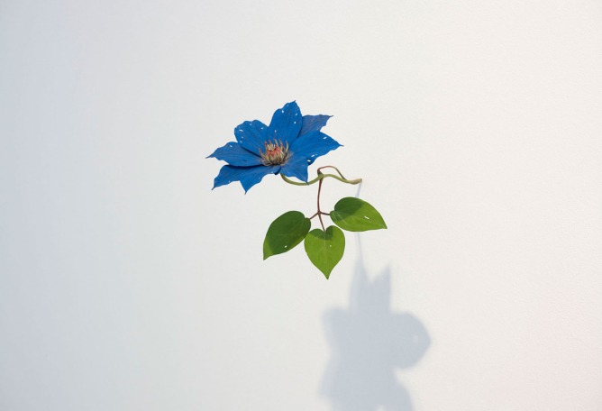 Clematis, 2013. Painted on wood. Photography © Suda Yoshihiro. 